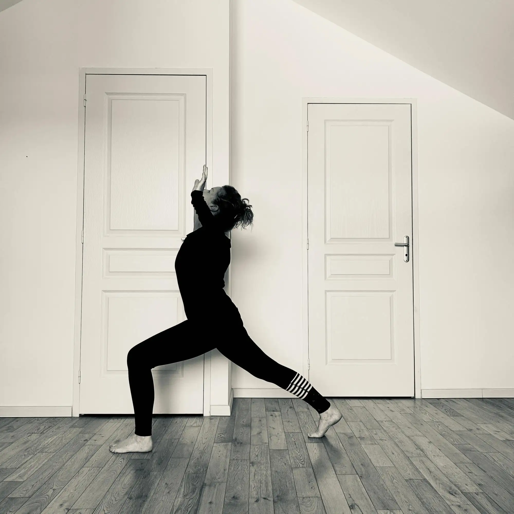 Encha&icirc;nement fluide de Danse du Dragon combinant Vinyasa et Qi Gong &agrave; Toulon et Six-Fours