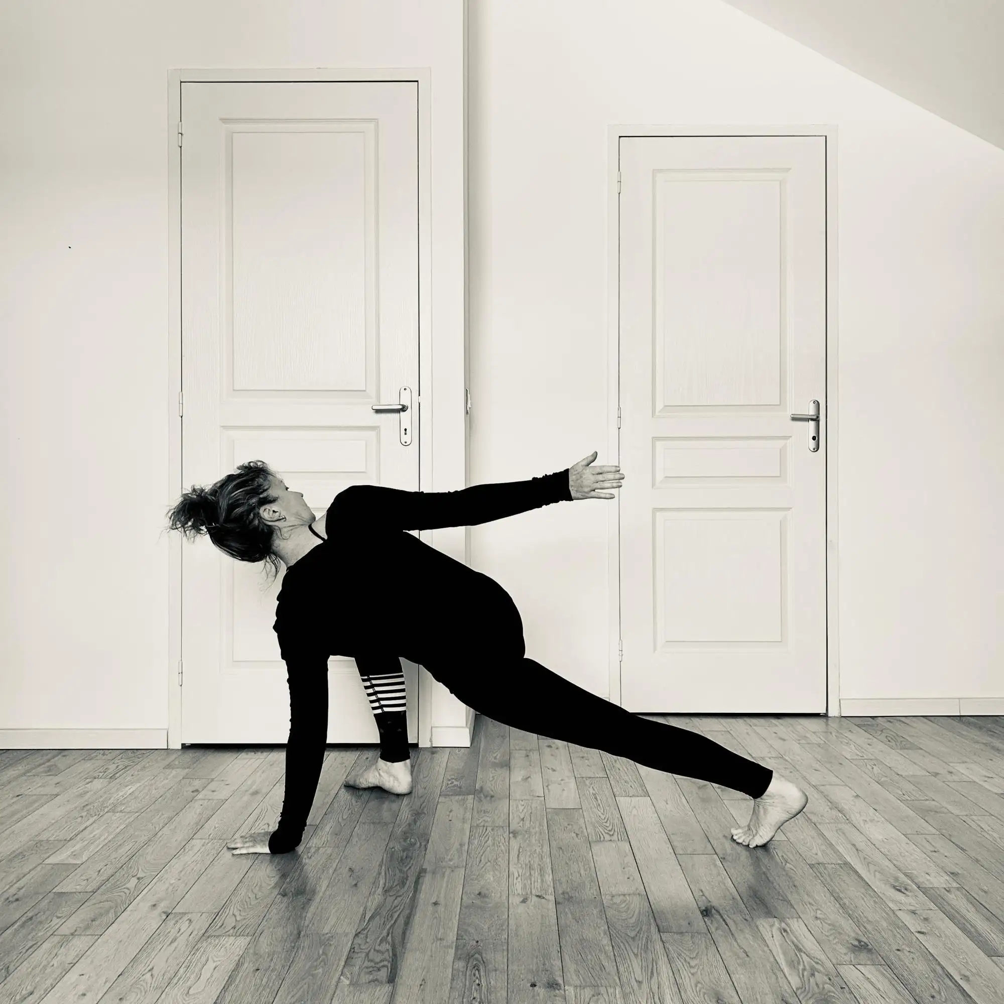 Stage de Danse du Dragon et Yang Yoga � Six-Fours