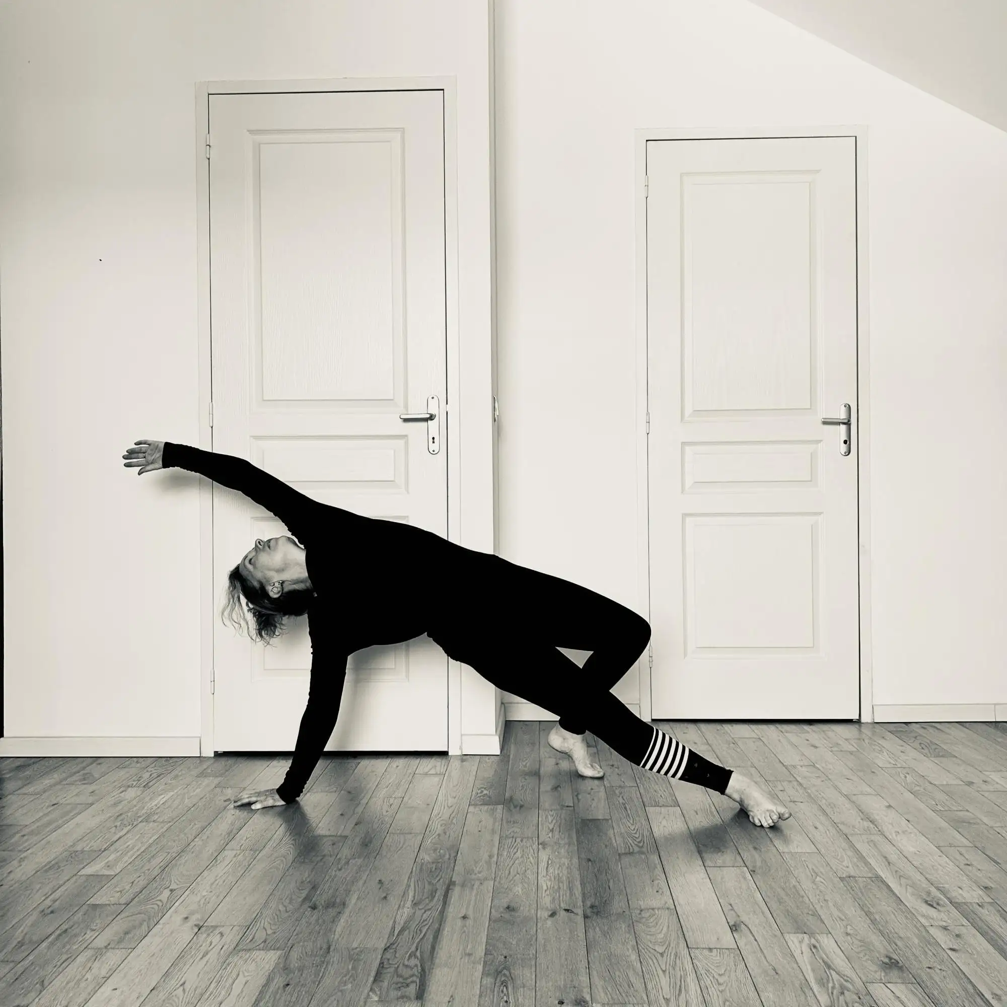 Yang Yoga et Danse du Dragon � proximit� de Toulon