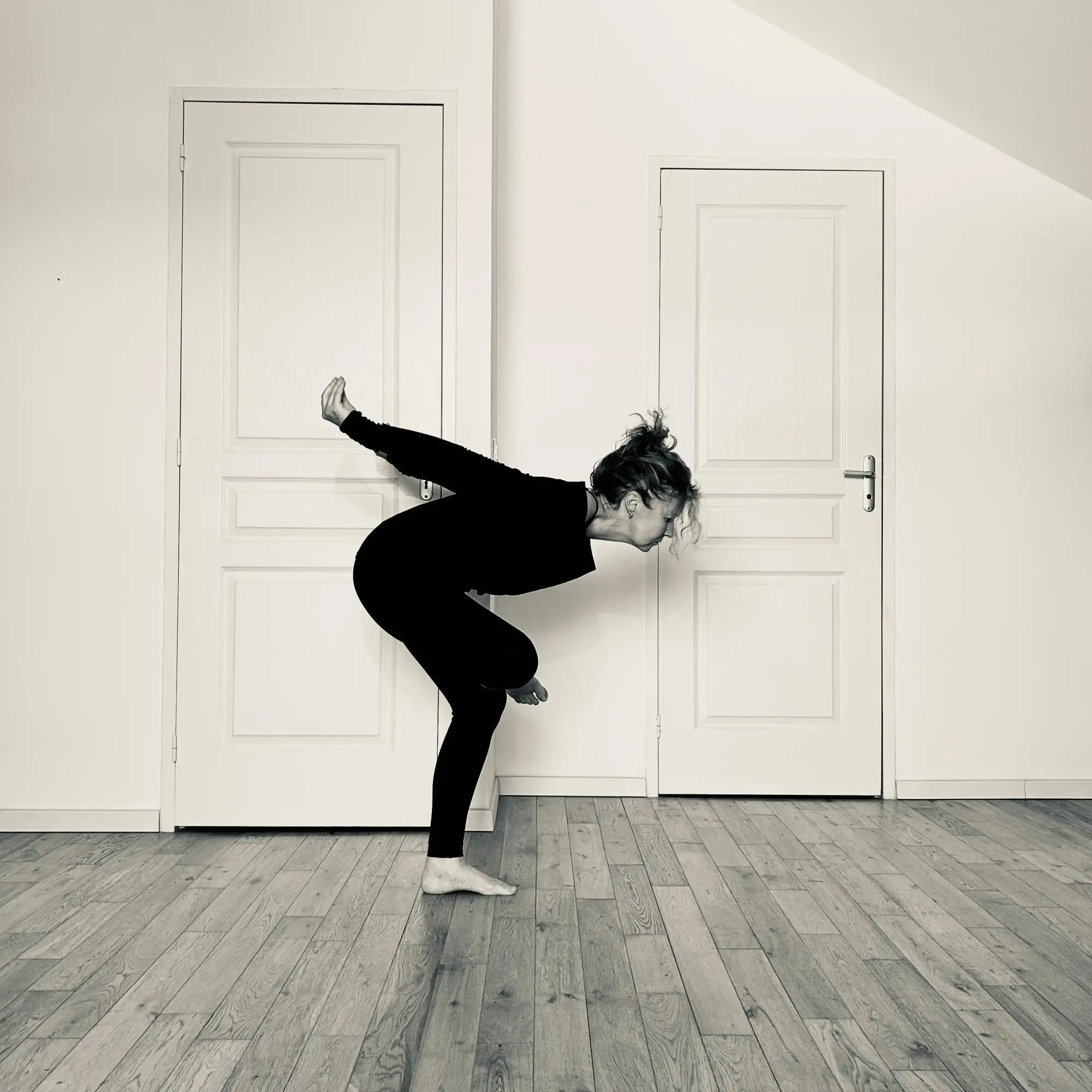 Yang Yoga et Danse du Dragon &agrave; Toulon et Six-Fours