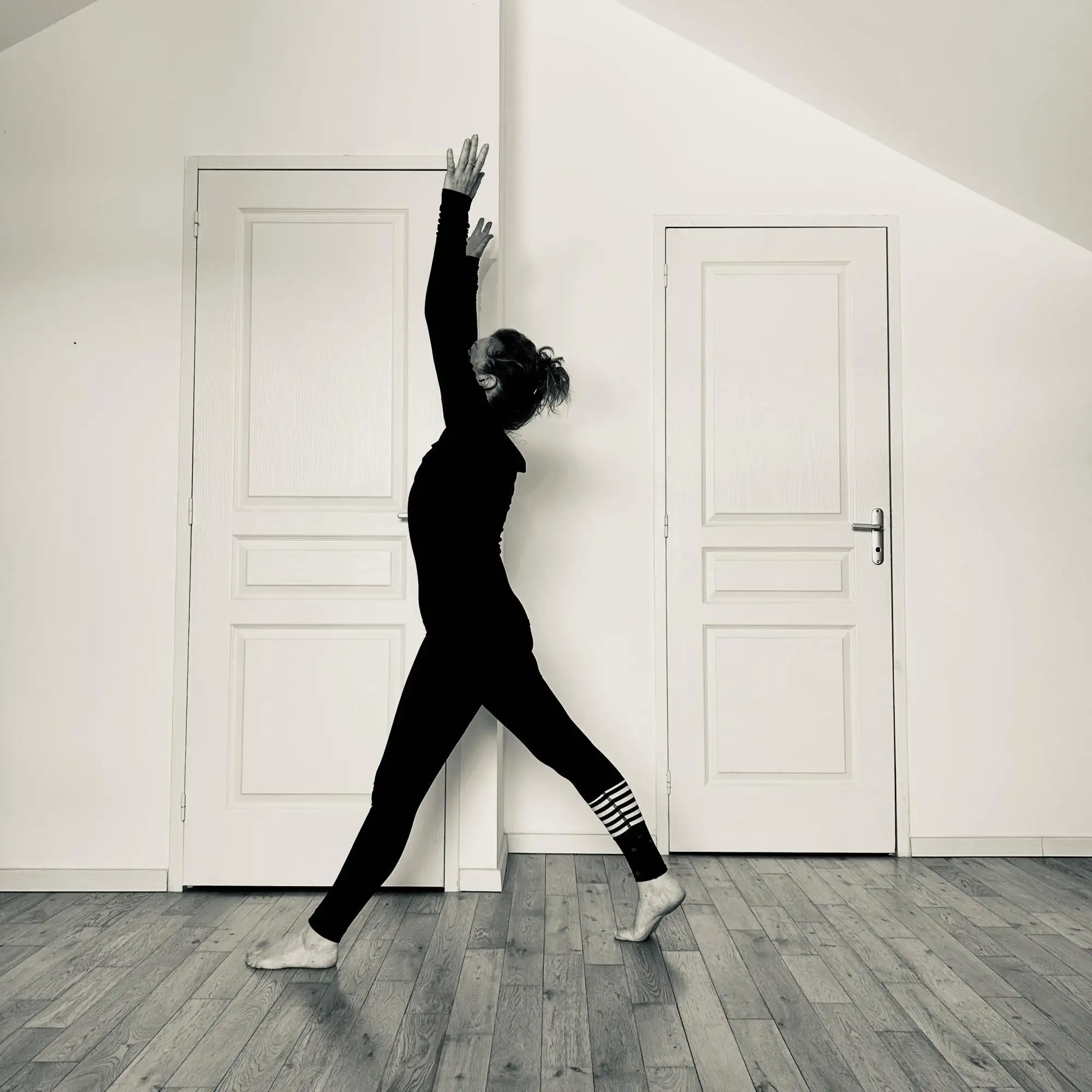 Yang Yoga et Danse du Dragon &agrave; Toulon et Six-Fours